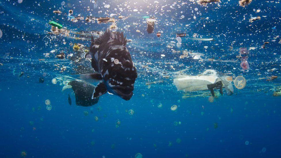 Waste Plastic, How Can We Help?
