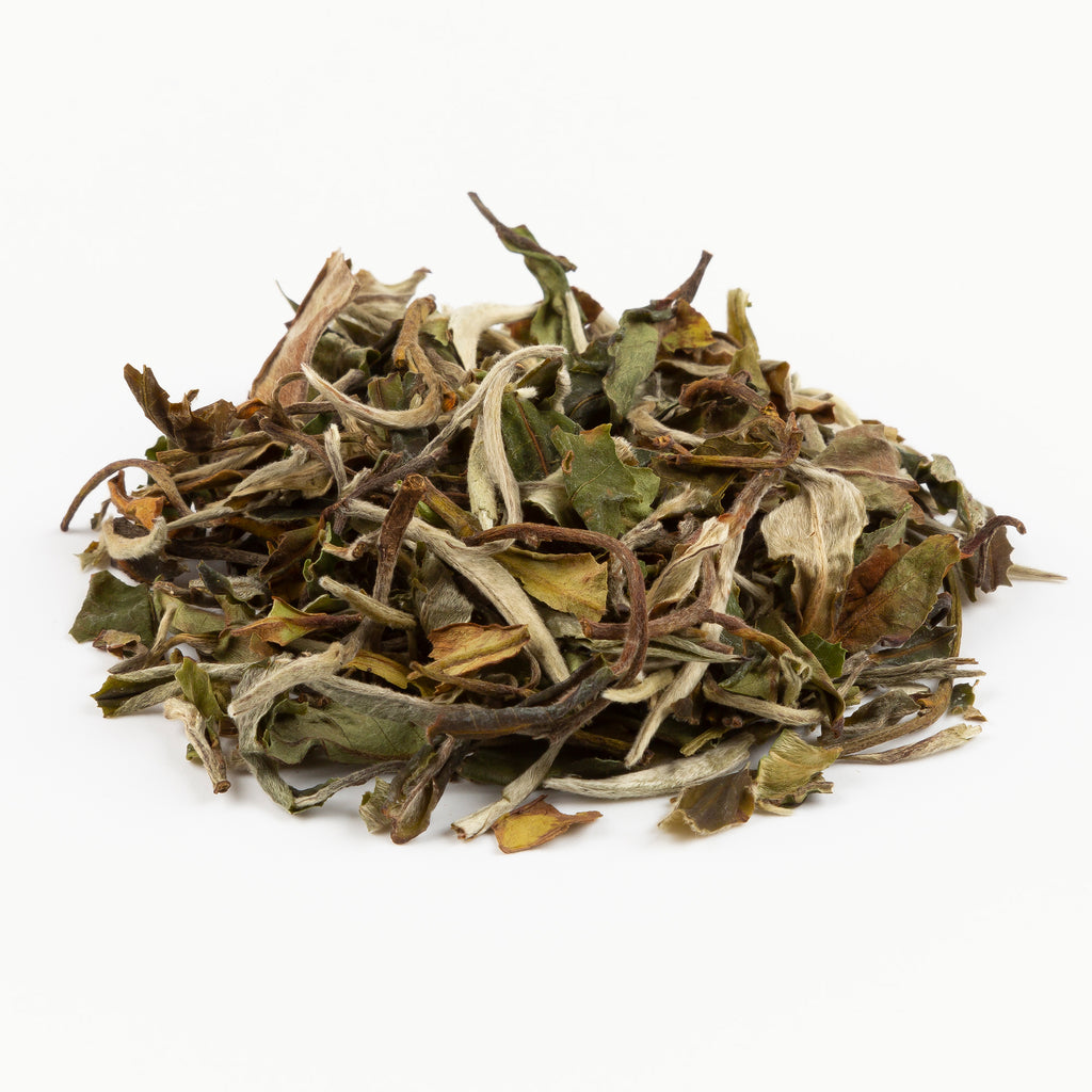 Comprehensive Guide to Pai Mu Tan Tea: A Journey into Elegance and Flavour