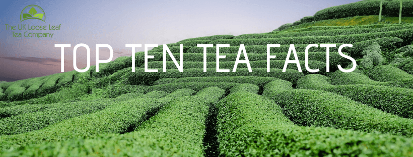 Top 10 Tea Facts